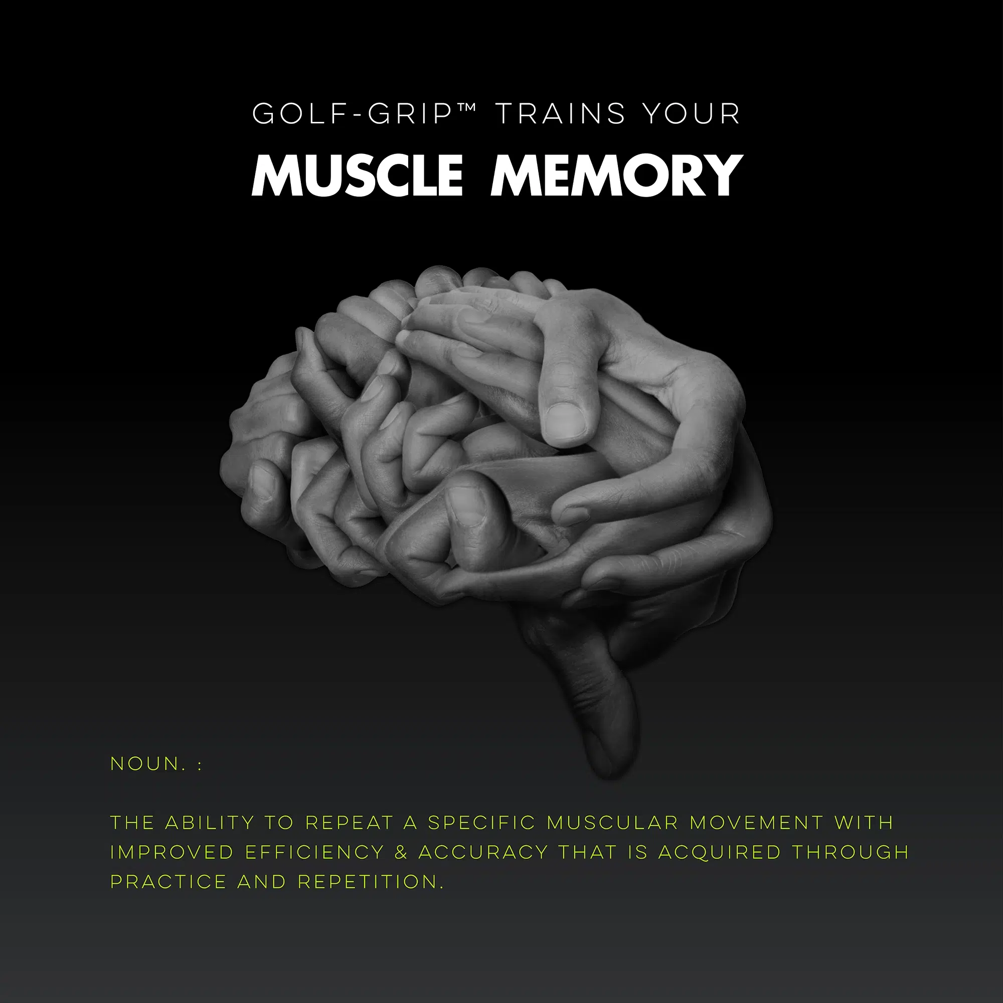FEATURES-MUSCLE-MEMORY